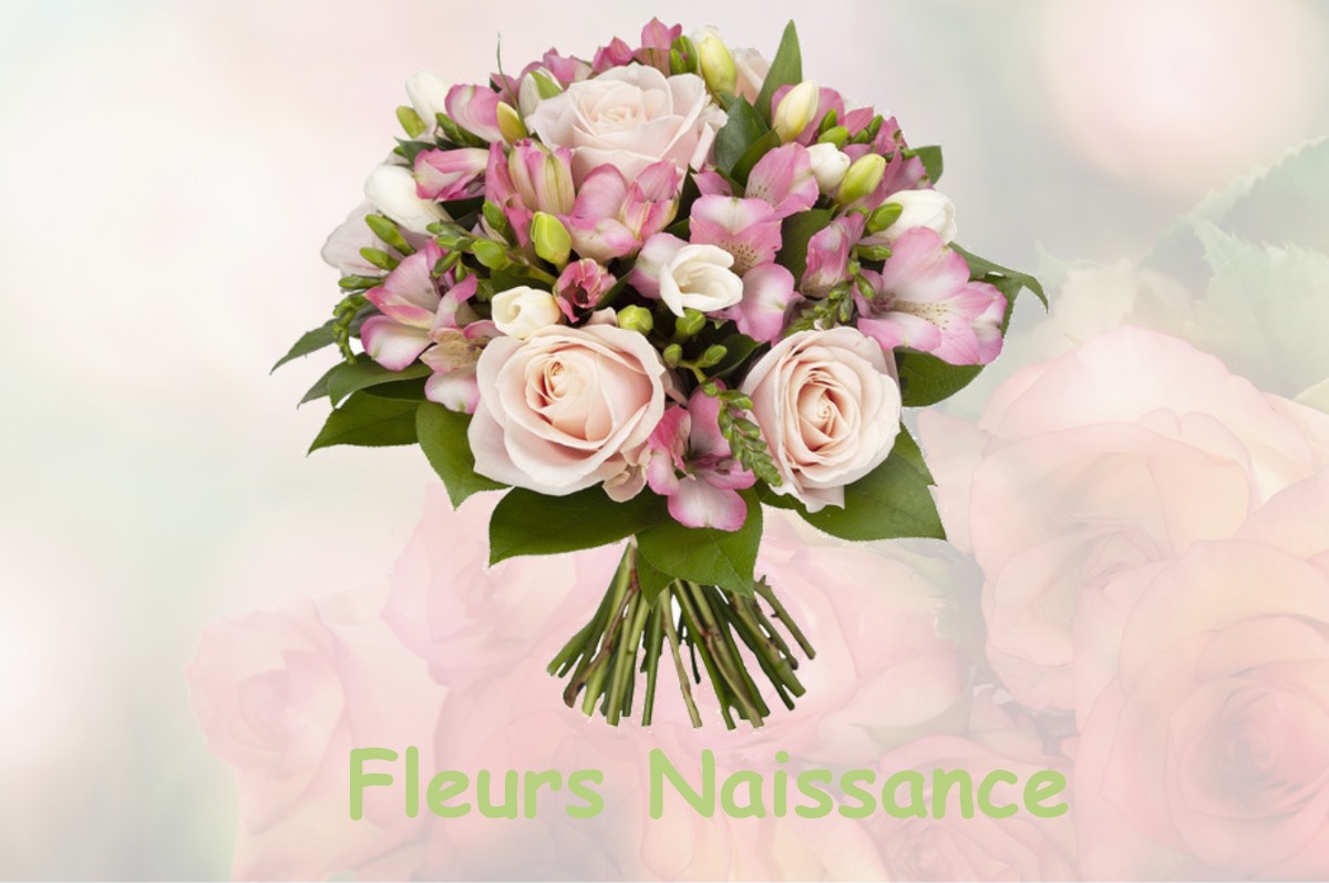 fleurs naissance LE-PIN-MURELET