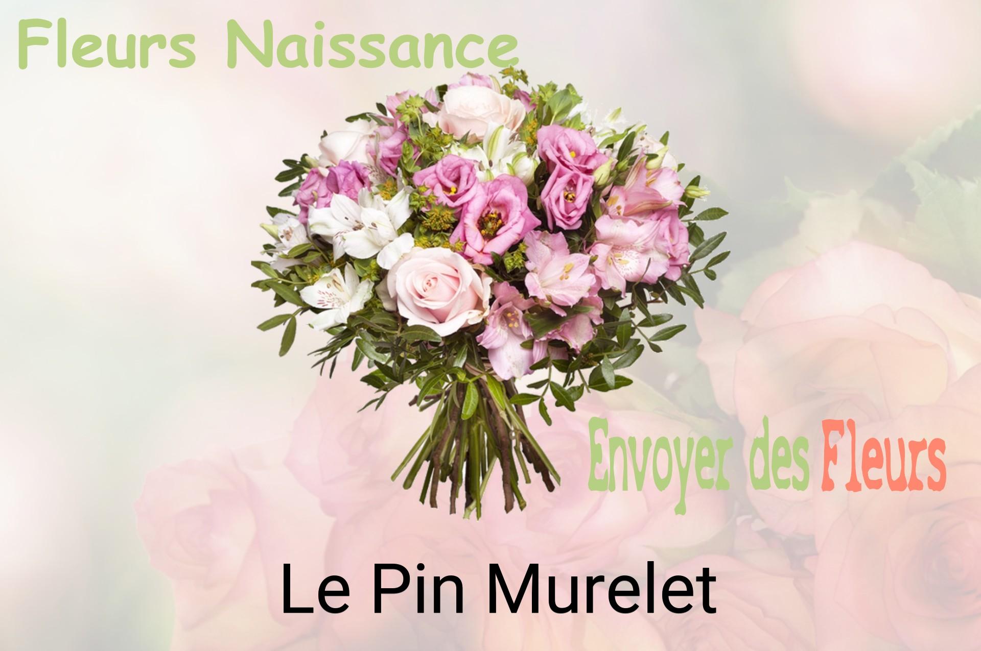 Bouquet de fleurs de naissance livré à Le Pin-Murelet