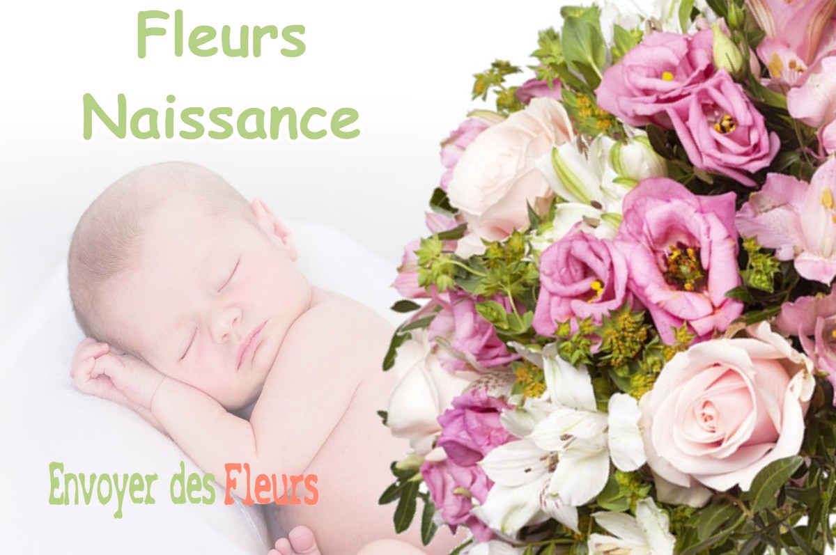 lIVRAISON FLEURS NAISSANCE à LE-PIN-MURELET